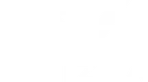 TWIZLA